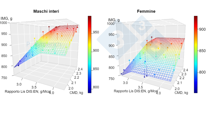Figura 1. Modello&nbsp;dell'effetto del rapporto lisina-energia e del consumo medio giornaliero in maschi interi e femmine tra 70 e 105 kg di peso vivo. IMG&nbsp;= Incremento&nbsp;medio giornaliero, CMD = consumo medio giornaliero. Fonte: Aymerich et al., 2020.

